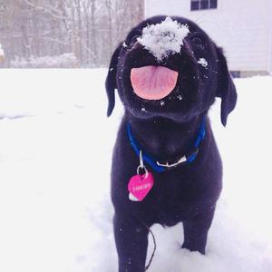 米塔 本子在哪找
